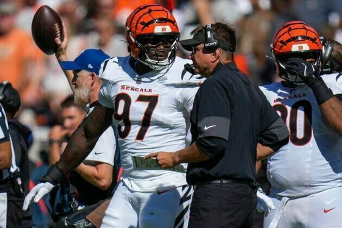 Bengals DE Shemar Stewart (knee) lands on IR