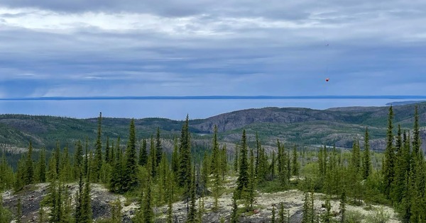 White Cliff's 'premium' raising sets stage for Canadian growth story