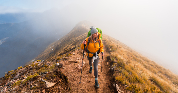 Partner Insight: Securitised and CLO ETFs - Resilience, diversification and the case for active