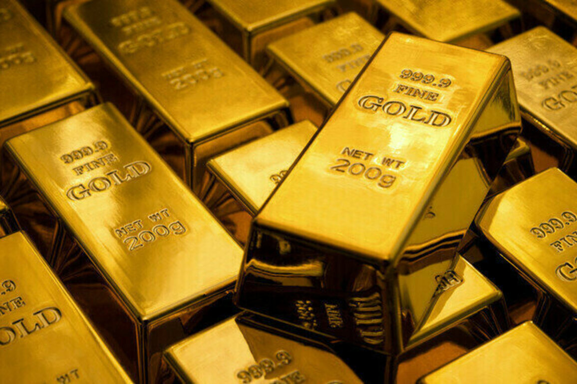 Niger takes control of gold mine from Australian operator