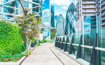 Corporate Leaders Group UK sets out net zero policy wish
list