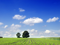 Saving energy - but only at the right price
