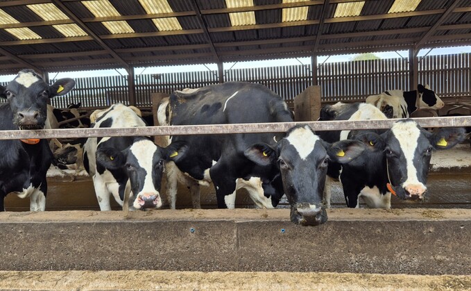 The herd has moved to autumn calving. The herd has moved to autumn calving.