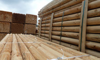 M&M Timber to invest in staff training and machinery