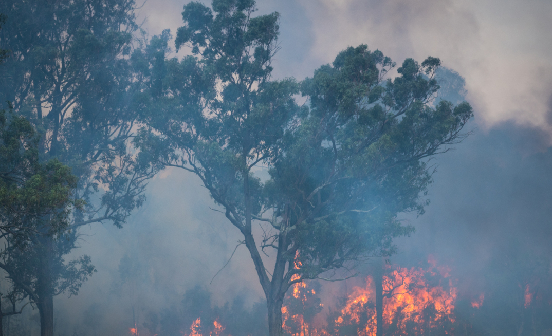 It has been a horror week for bushfires in WA. 
