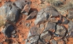 Apollo to spin-off iron ore assets