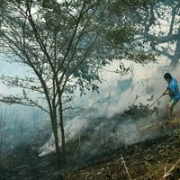 Wildfire disasters are increasingly in the news, yet less land is burning globally - here's why