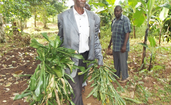 John Lubega eyabadde agabanyizza ekibanja kya muganda we eyafudde ng'akudde empaanyi ze yabadde asimbye John Lubega eyabadde agabanyizza ekibanja kya muganda we eyafudde ng'akudde empaanyi ze yabadde asimbye