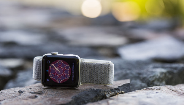 apple watch seashell sport loop review
