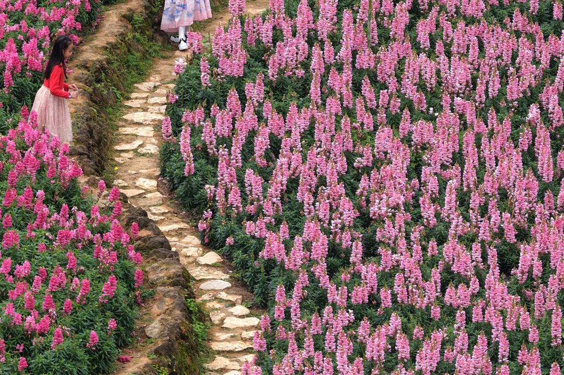 CHINA-GUANGXI-NANNING-SPRING-SCENERY (CN)