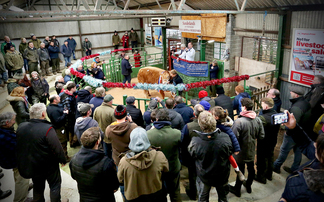 A century of trade: Talgarth Market celebrates 100 years 