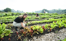 'Simpler and fairer': Defra ringfences £240m for revamped Sustainable Farming Incentive scheme