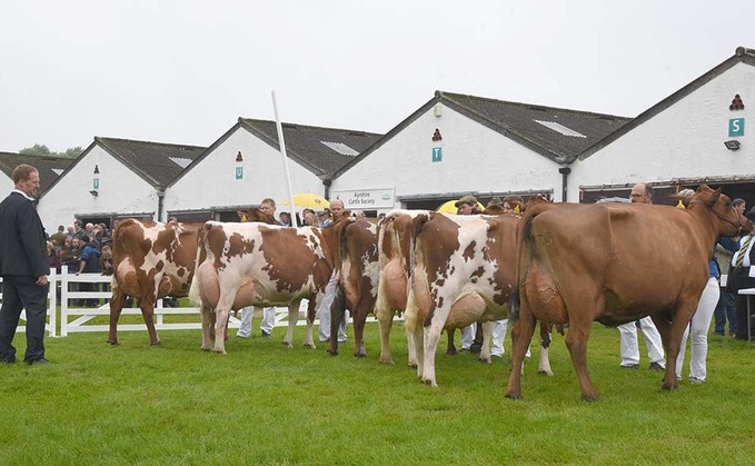 New format allows Great Yorkshire Show to go ahead