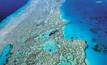 Temperature rise will kill Great Barrier Reef 
