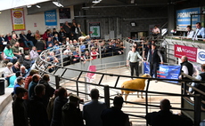 NSA Wales and Border early ram sale sees highs of 3,500gns