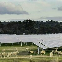 Battle for the bush? Ignore the noise -most farmers like renewables