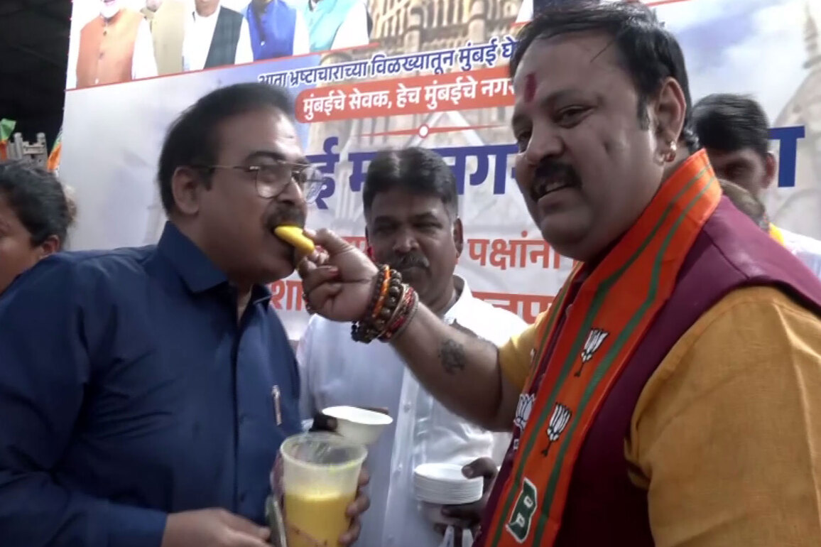 Maharashtra: BJP-Sena Yuti takes huge lead in BMC, distributes 'rasmalai' to mock Raj Thackeray over his comment against Annamalai