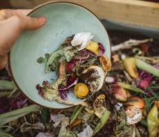 'More damaging than people realise': Almost three million households shunning food waste bins