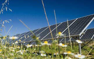 Government greenlights 'UK's largest' solar power project in Lincolnshire