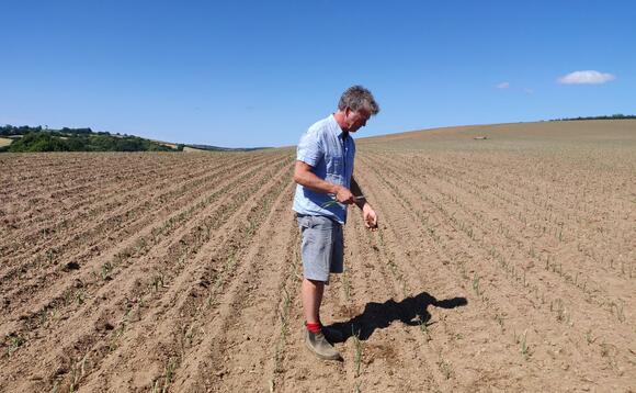 Riverford founder Guy Singh-Watson inspects the spring onion crop on his farm