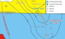 Strong flows at Lacerta-8: Sunshine