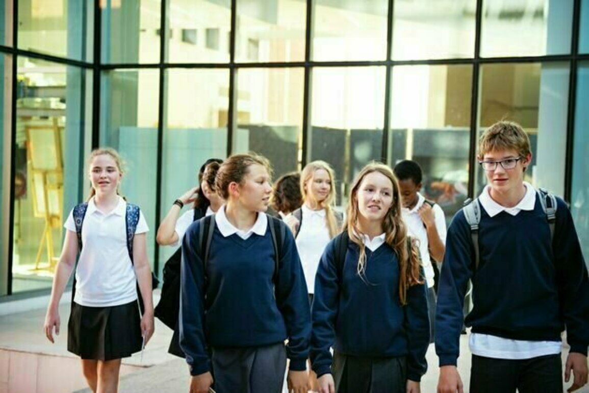 With a government review underway, we have to ask why children bully other kids