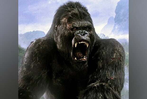 'King Kong' live-action series in works