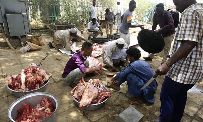 Sheep slaughtered as Sudan protesters celebrate Bashir ouster Sheep slaughtered as Sudan protesters celebrate Bashir ouster