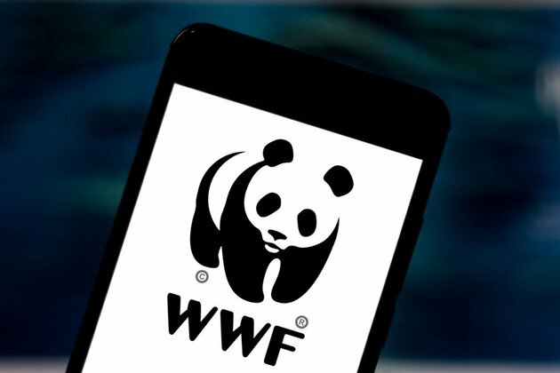 WWF declared undesirable in Russia