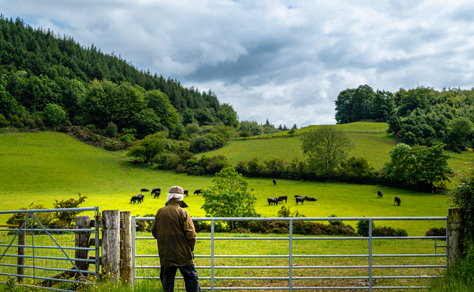 Dr Jude McCann, chief executive at FCN, said: "Against a backdrop of market volatility, political uncertainty and a rapidly changing climate, the support provided by FCN and Addington Fund is arguably needed now more than ever before."