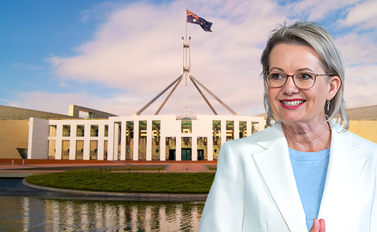 Liberal Party to unveil net zero policy