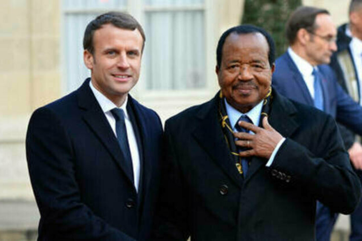 Napalm and decapitations: France admits, but does it apologize?