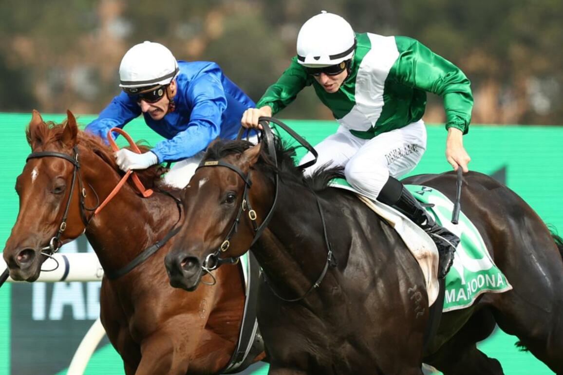 Marhoona clinches Golden Slipper with Michael Freedman emotional after beating racing big guns