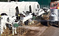 Investment in facilities and vaccination gives calves best start in life