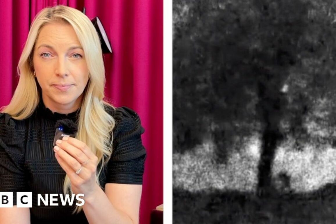 Watch video footage shown to jurors in Sycamore Gap tree trial