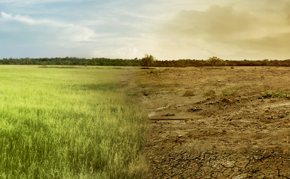 MSCI launches tool to measure emissions across investment portfolios