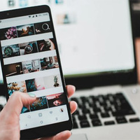 Bernstein cautions Indian digital creators on possible re-entry of Chinese firms