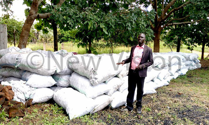 Yumbe officials impound over 600 bags of Charcoal Yumbe officials impound over 600 bags of Charcoal