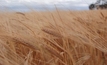 CBH breaks barley shipment record