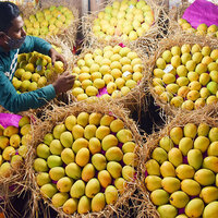 India's farmers will face pressures if free flow of US products allowed: Bank of Baroda report