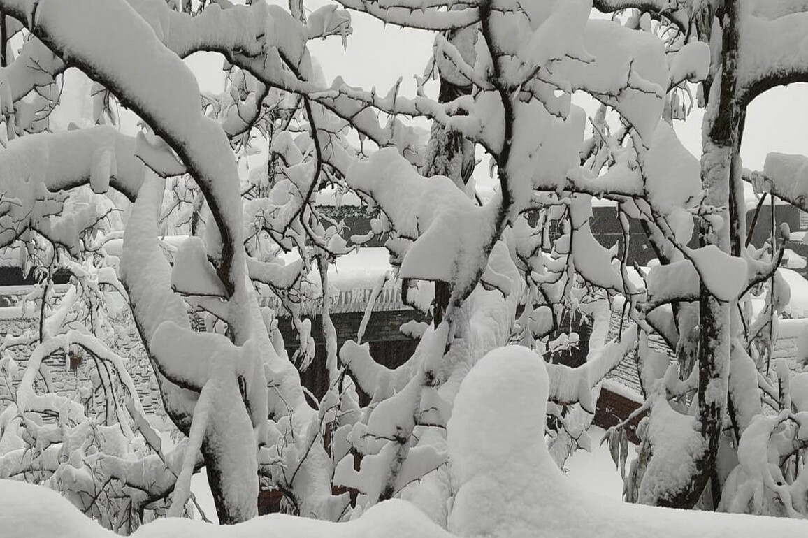 IMD forecasts more snow in Himachal Pradesh; commuters stranded as road turn slippery