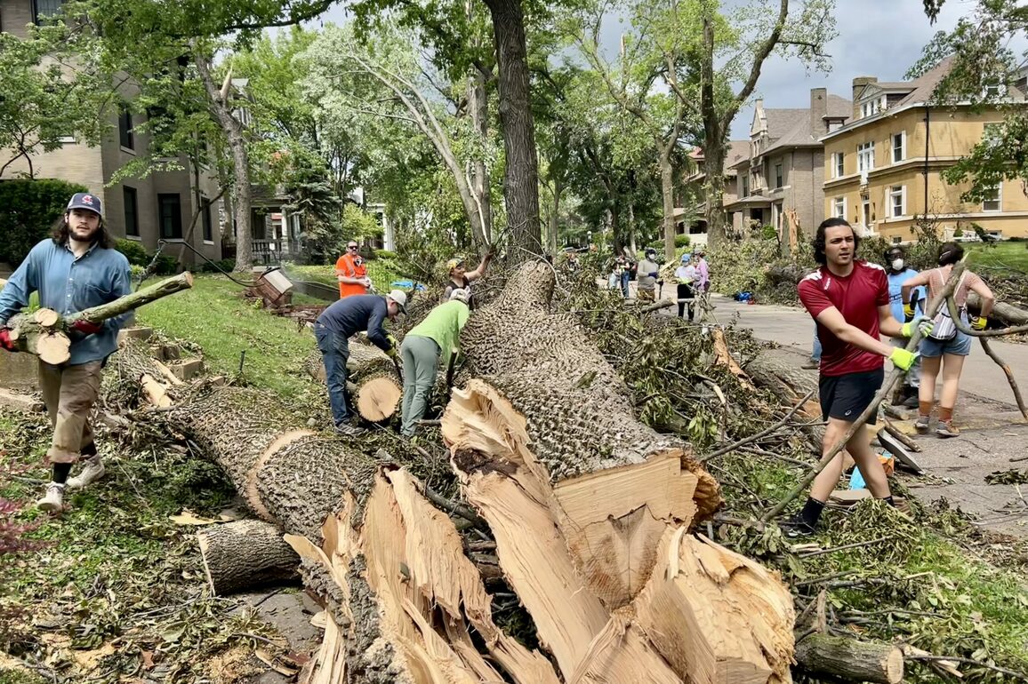 WashU community answers call to help in north St. Louis - The Source - WashU