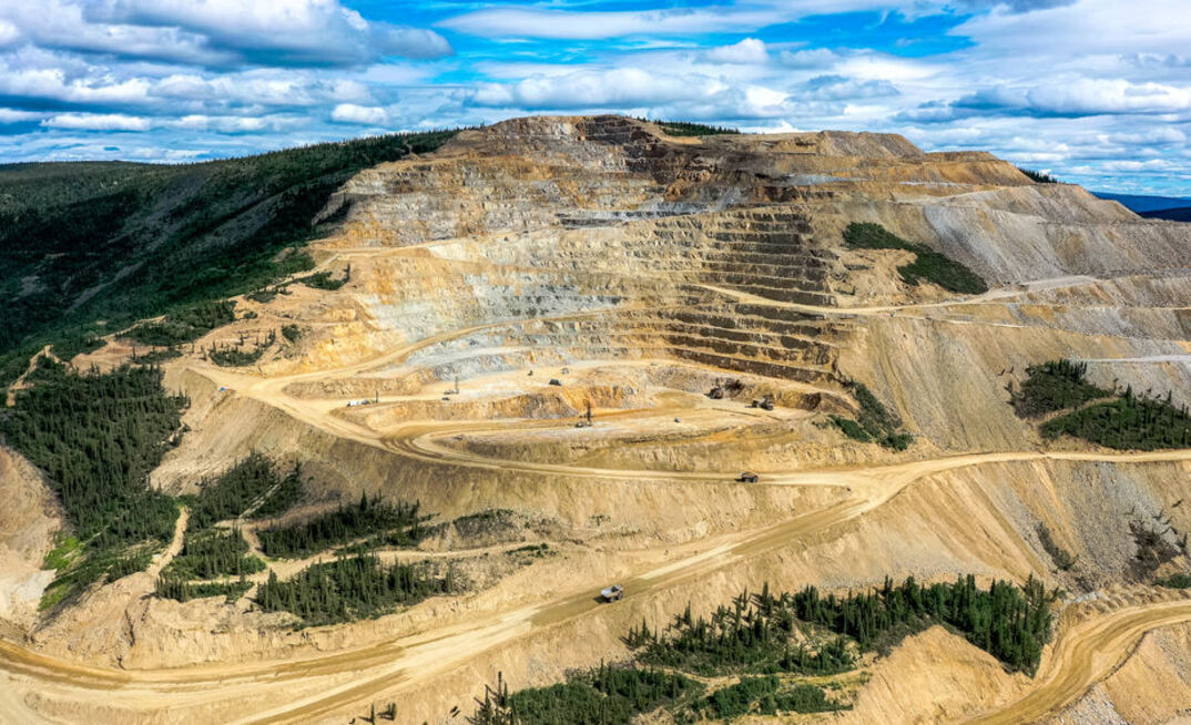 Eagle in Yukon, Canada