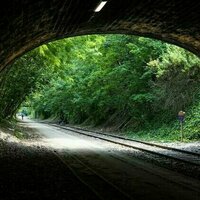 Old drains and railways are full of life. Here's how to make the most of these overlooked green spaces