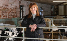 Welsh Winter Fair: Chance to discuss 'opportunities and challenges for Welsh Agriculture', says Minister