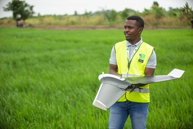 Ghana&#039;s farmers aren&#039;t all seeing the fruits of a Green Revolution