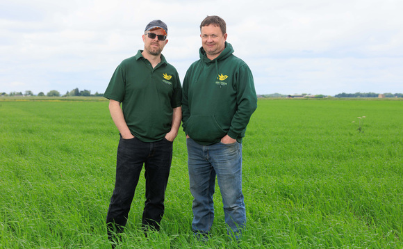 Third-generation farmers focus on sustainability in the Fens