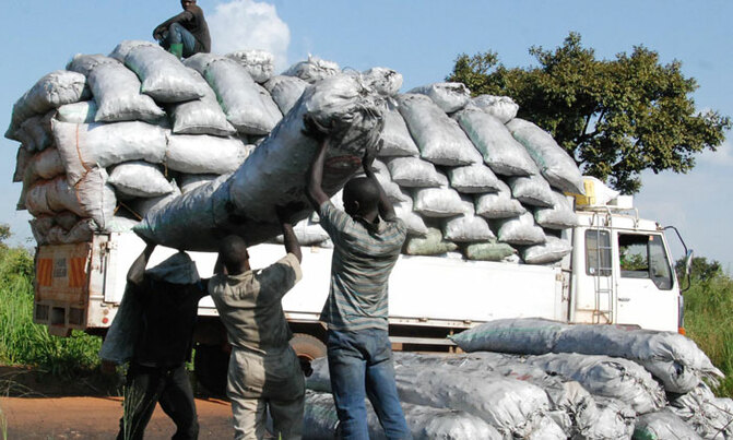 Environment committees to fight charcoal burning Environment committees to fight charcoal burning