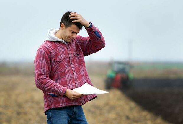 Young farmers in Ireland to get government advice on scheme