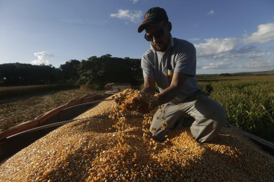World Insights: Brazil, "Land of the Future"